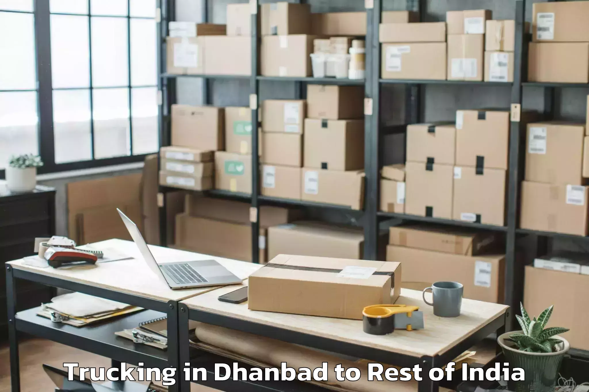 Top Dhanbad to Bashohli Trucking Available